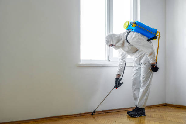 Reliable Greentown, OH Pest Control Solutions